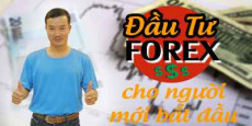 Đầu tư Forex cho người mới bắt đầu Đầu tư Forex cho người mới bắt đầu