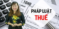 Pháp luật thuế Pháp luật thuế