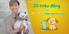 Thu nhập trên 20 triệu đồng 1 tháng với nghề Grooming - chăm sóc thú cưng Thu nhập trên 20 triệu đồng 1 tháng với nghề Grooming - chăm sóc thú cưng
