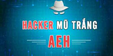 Hacker Mũ Trắng AEH
