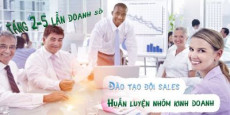 Huấn luyện nhóm kinh doanh - Đào tạo đội sales tăng 2-5 lần doanh số