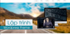 Lập trình Wordpress Theme cho doanh nghiệp cùng Bootstrap Lập trình Wordpress Theme cho doanh nghiệp cùng Bootstrap
