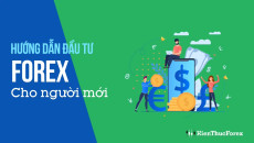 đầu tư forex cho người mới bắt đầu đầu tư forex cho người mới bắt đầu