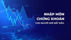 Nhập môn chứng khoán Nhập môn chứng khoán