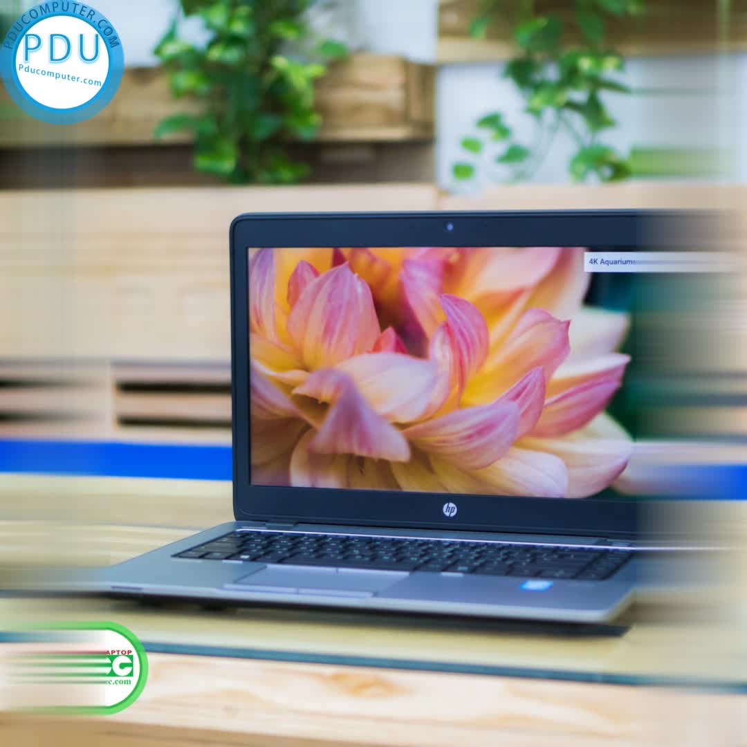 Laptop Cũ Hp Elitebook 840 G2 i5 5200U | RAM 4 GB | SSD 120GB| 14.0” HD | Card on