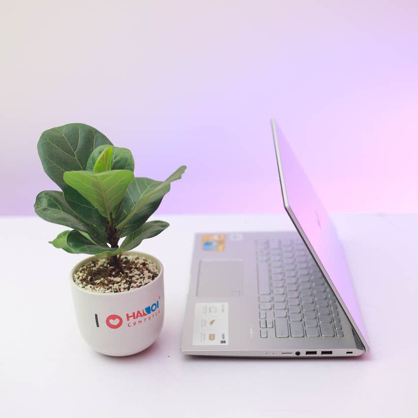 Laptop Asus D409DA-EK151T (R3 3200U/4GB RAM/256GB SSD/14 inch FHD/Win 10/Bạc)