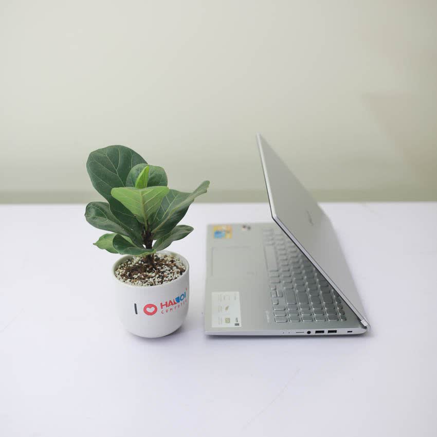 Laptop Asus D509DA-EJ800T (R3 3250U/4GB RAM/256GB SSD/15.6 FHD/Win10/Bạc)