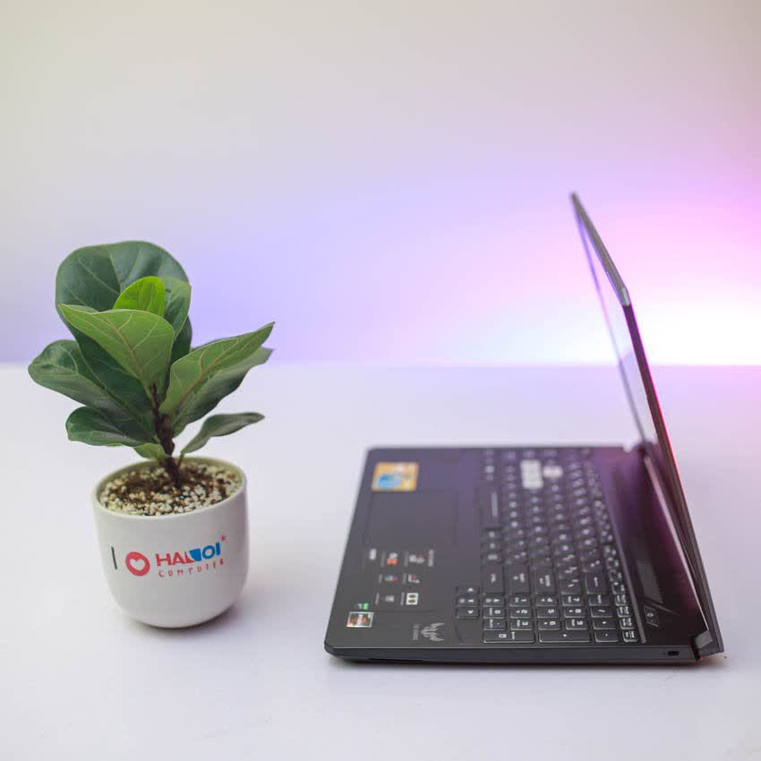 Laptop Asus Gaming TUF FX505DT-AL118T (R5 3550H/8GB RAM/512GB SSD/15.6 inch FHD 120Hz/GTX 1650 4GB/Win 10/Xám)