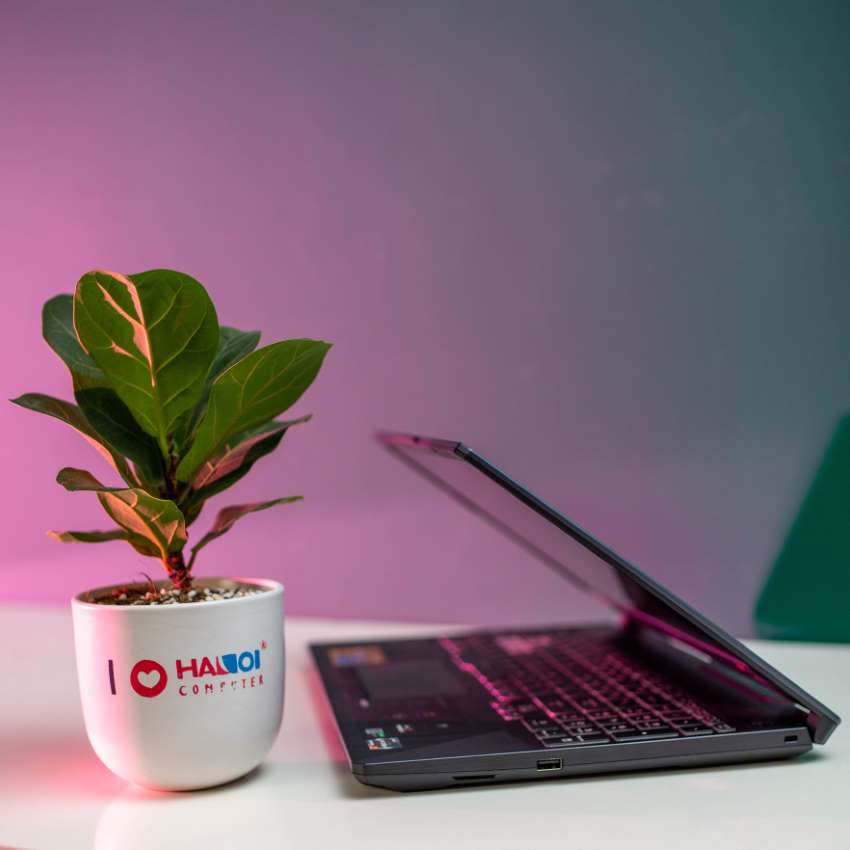 Laptop Asus Gaming TUF FX506LI-HN096T (i7 10870H/8GB RAM/512GB SSD/15.6 inch FHD 144hz/GTX 1650Ti 4GB/Win10/Xám)