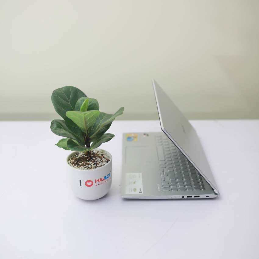 Laptop Asus X509MA-BR270T (Ce N4020/4G/256GB SSD/15.6 HD/Win 10/Bạc)