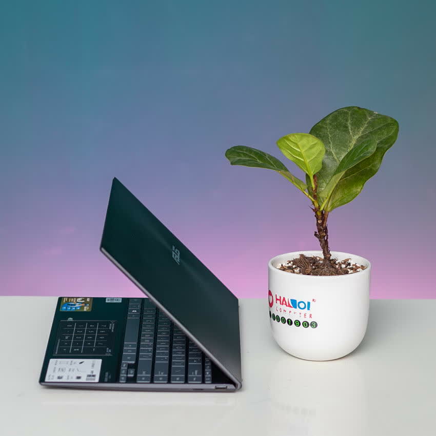 Laptop Asus ZenBook UX425EA-BM113T (i7 1165G7/16GB RAM/512GB SSD/14 FHD/Win10/Xám)