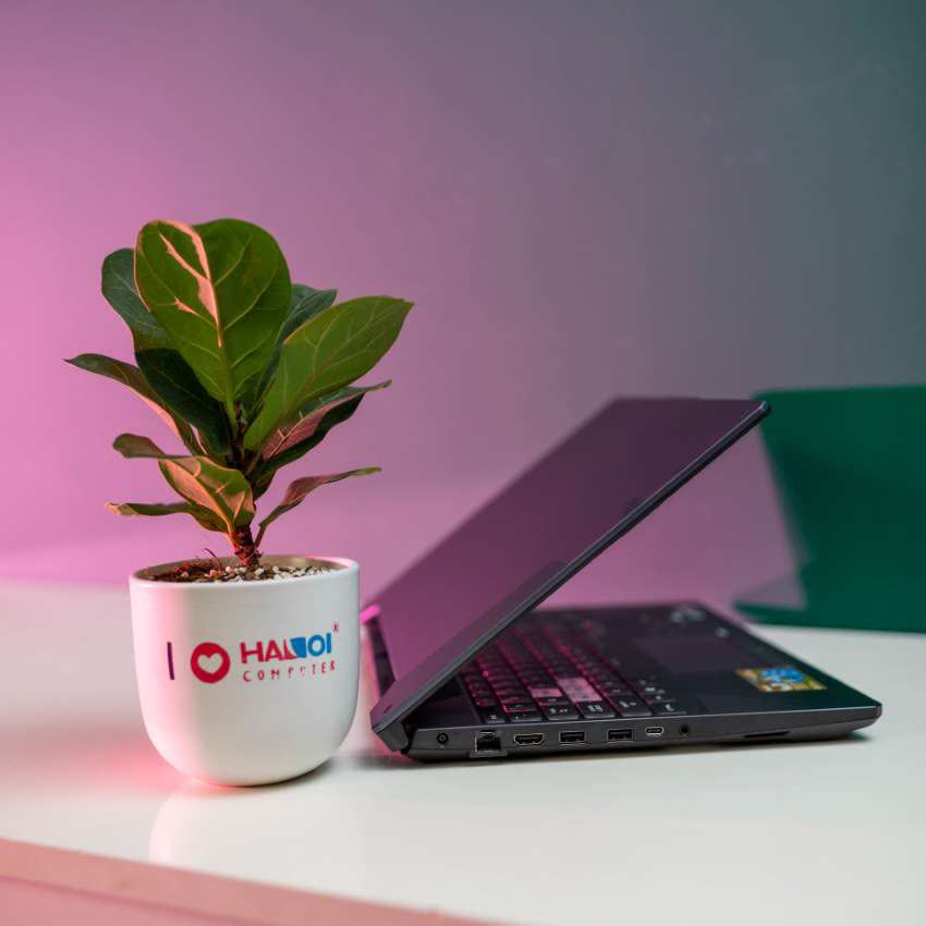 Laptop Gaming Asus TUF FA506IV-HN202T (R7 4800H/16GB RAM/1TB SSD/15.6 FHD 144Ghz/RTX 2060 6GB/Win10/Balo/Xám)