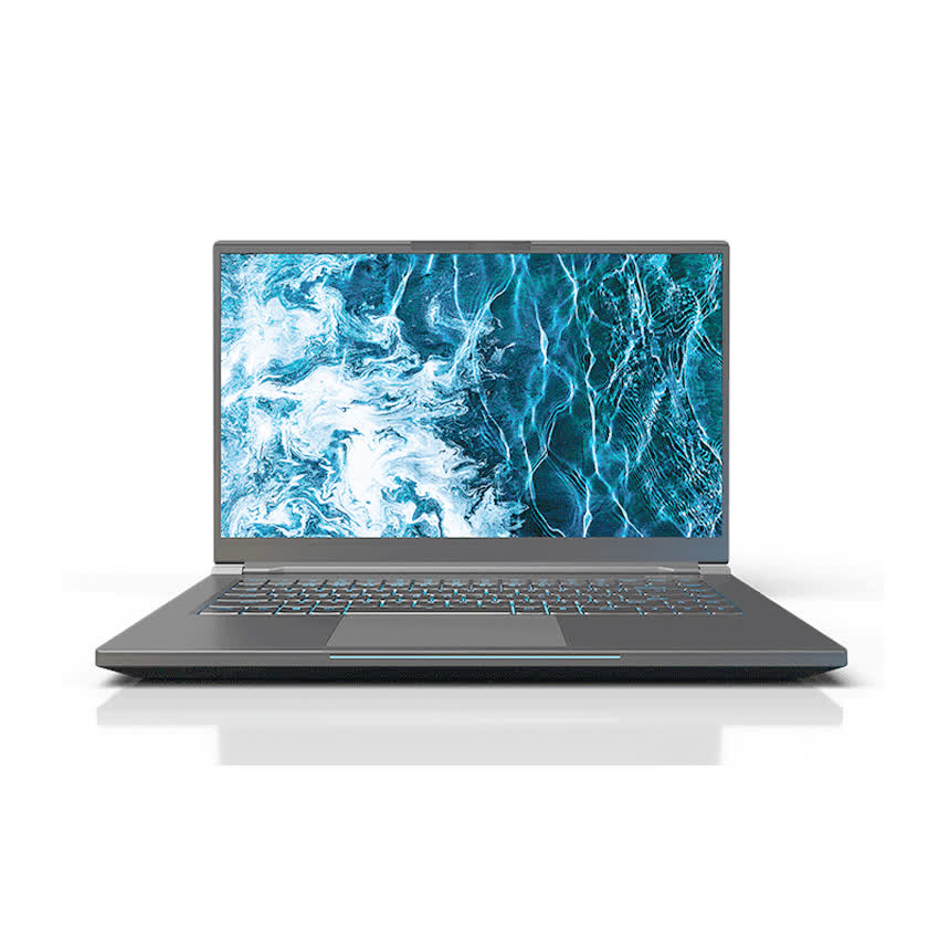 Laptop Gaming VGS Imperium (BQC71AUBU6000M3S3) (i7 9750H/ 64GB Ram/ 2TB SSD/ GTX1660Ti 6G/15.6 inch FHD IPS/Xám kim loại)