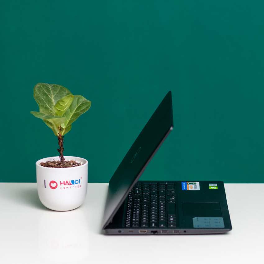 Laptop Dell Inspiron 3593A (P75F013N93A) (i3 1005G1/4GB RAM/1TBHDD/15.6 inch FHD/Win 10/Đen)