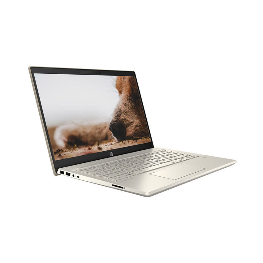 Laptop HP Pavilion 14-dv0042TU (2H3L1PA) ( i5-1135G7/8GB RAM/256GB SSD/14 FHD/Win10/Office/Vàng)