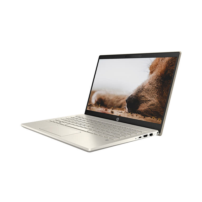 Laptop HP Pavilion 14-dv0042TU (2H3L1PA) ( i5-1135G7/8GB RAM/256GB SSD/14 FHD/Win10/Office/Vàng)