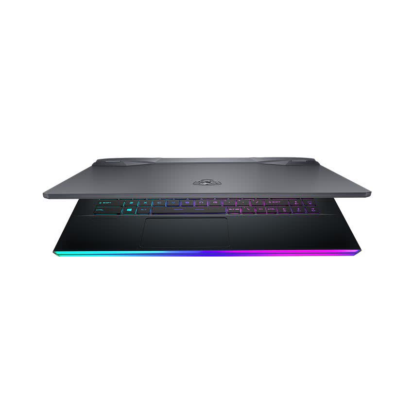 Laptop MSI Gaming GE66 Raider 10SF(044VN) (i7 10750H/16GB/1TB SSD/RTX 2070 8G/15.6 inch FHD 240Hz / Win10)