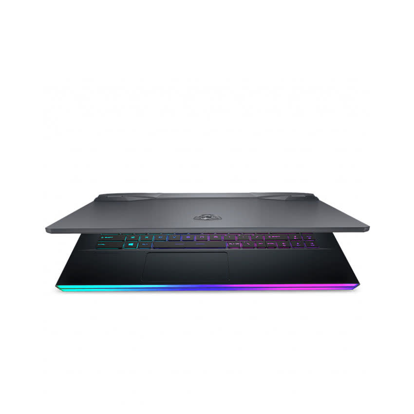 Laptop MSI Gaming GE66 Raider 10UG-205VN (i7 10870H/16GB RAM/2TB SSD/RTX3070 8G/15.6 inch FHD 300Hz/Win10) (2021)