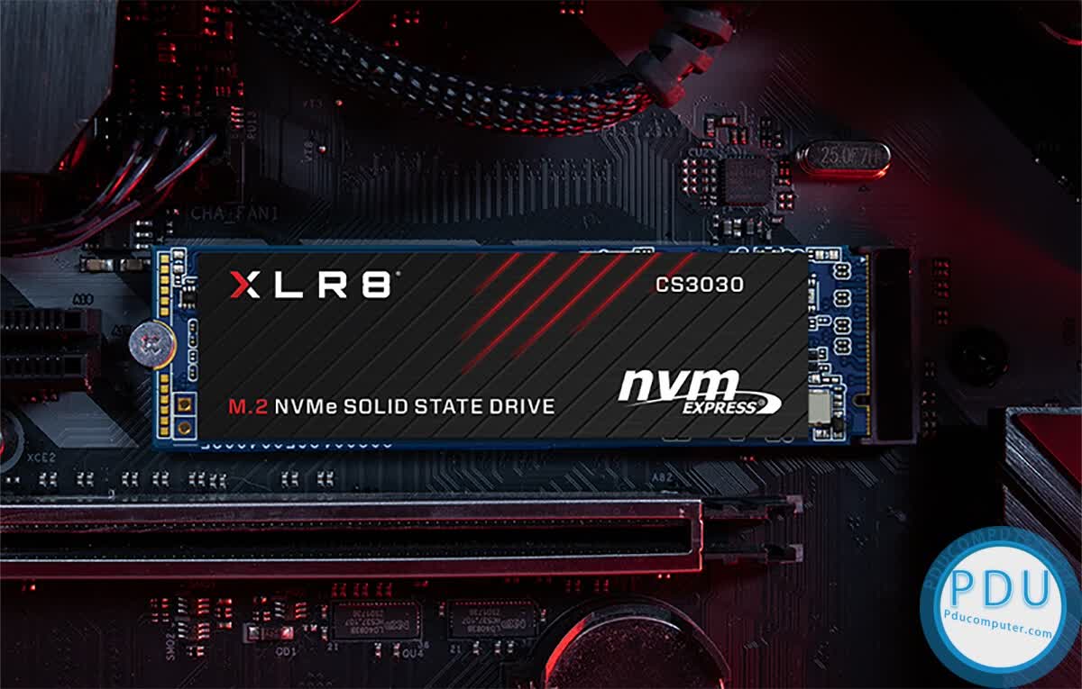 Ổ cứng SSD CS3030 250GB M.2 2208 PCIe NVMe Gen 3x4 (Đọc 3500MB/s - Ghi 1050MB/s)