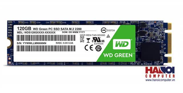 Ổ cứng SSD WD Green 120GB M.2 2280 (Đọc 545MB/s - Ghi 430MB/s) - (WDS120G2G0B)