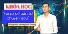 Forex cơ bản tới chuyên sâu