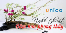 Nghệ thuật cắm hoa phong thủy