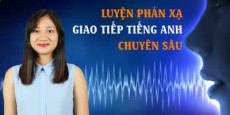 06. Luyện phản xạ giao tiếp tiếng anh chuyên sâu (Phần 1)