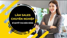 65. Làm Sales chuyên nghiệp bí quyết vua bán hàng