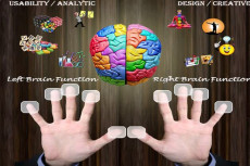 Nhận diện bản tính và hành vi bẩm sinh (Ứng dụng khoa học Sinh trắc vân tay)