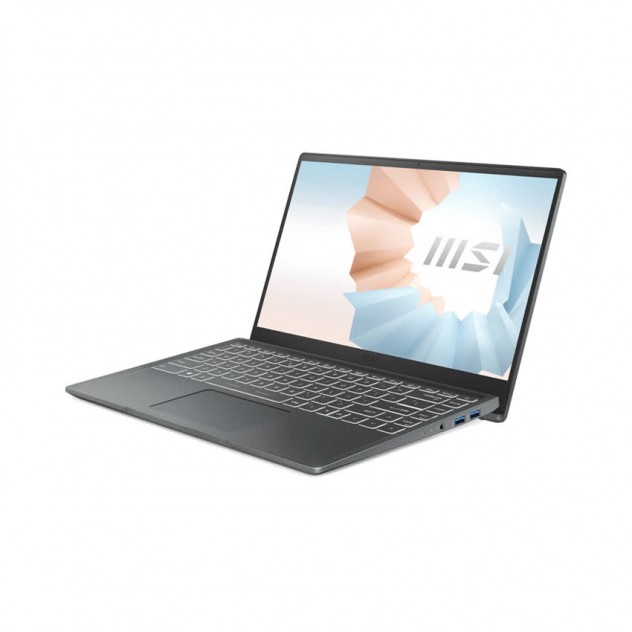 Laptop MSI Modern 14 B11SB (244VN) (i5-1135G7/8GB RAM/512GBSSD/MX450 2GB/14 inch FHD/Win 10/Xám) (2020)